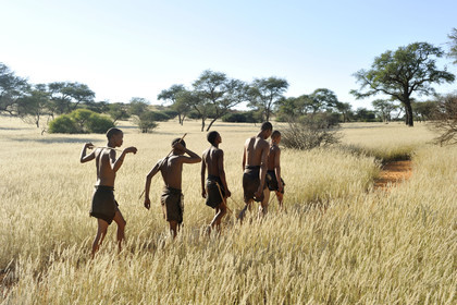 Namibie, Kalahari