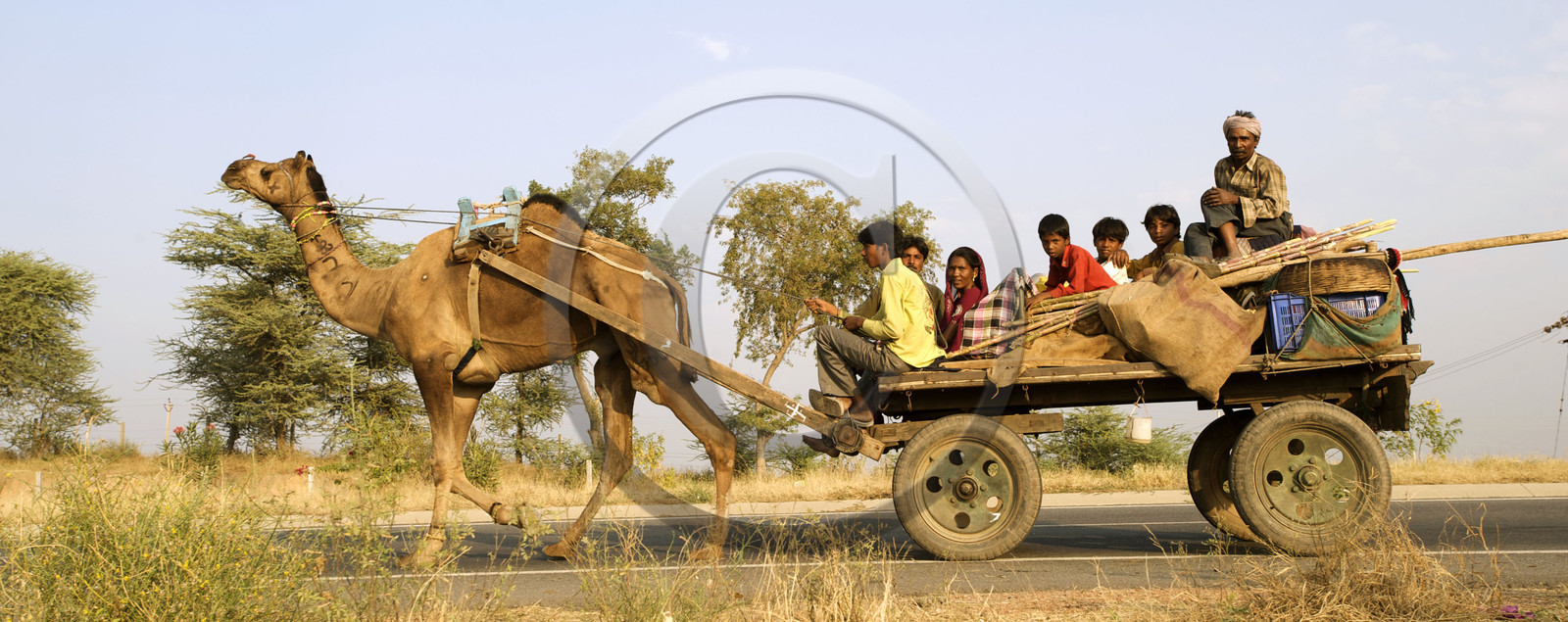 Inde, Gujarat