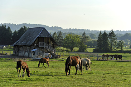 France, Pont Leveque