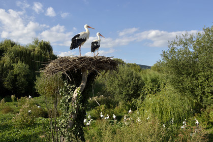 France, Alsace