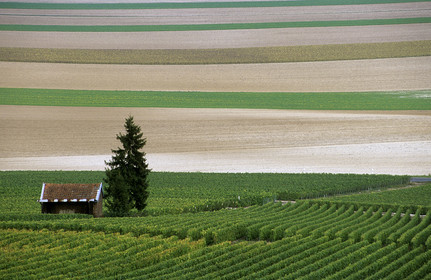 Champagne, France