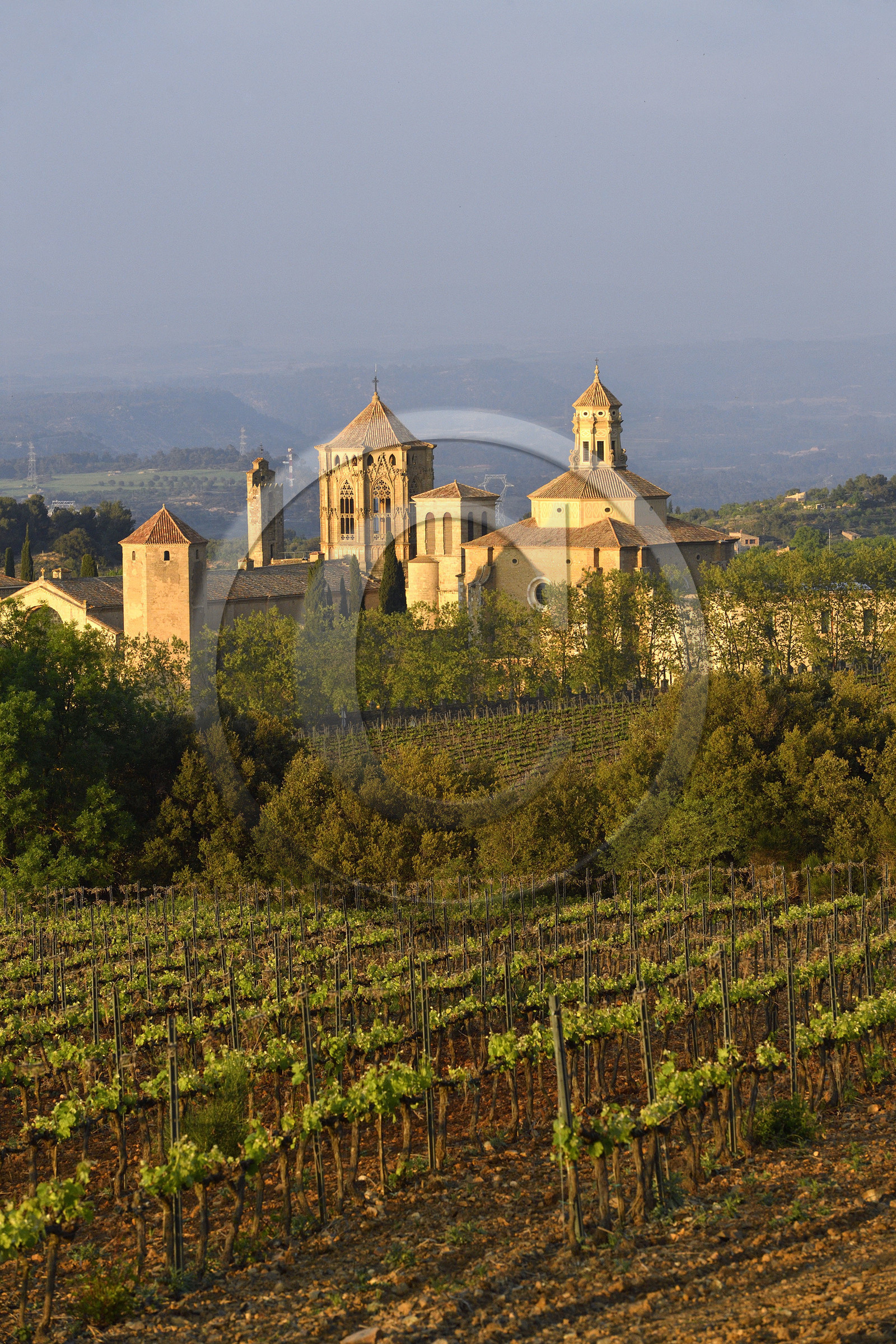 Espagne, Poblet