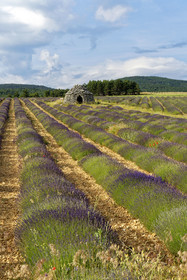 France, Sault