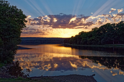 France, Brocéliande