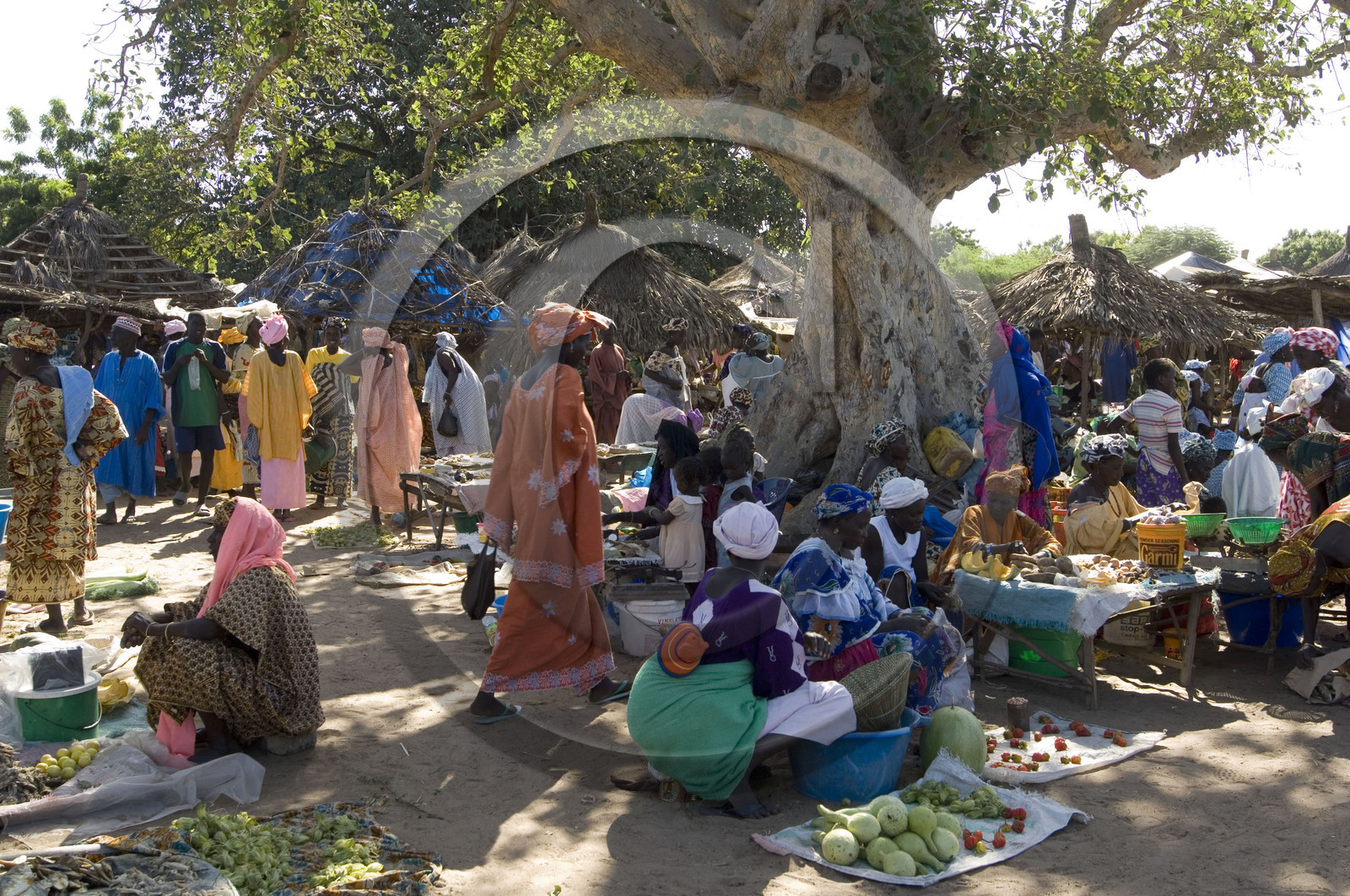 Marché de Gueguenne, Sénégal