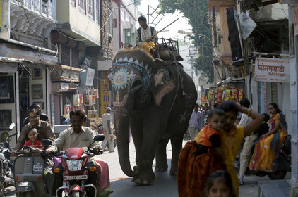 Inde, Udaipur