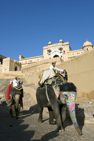 Inde, Jaipur