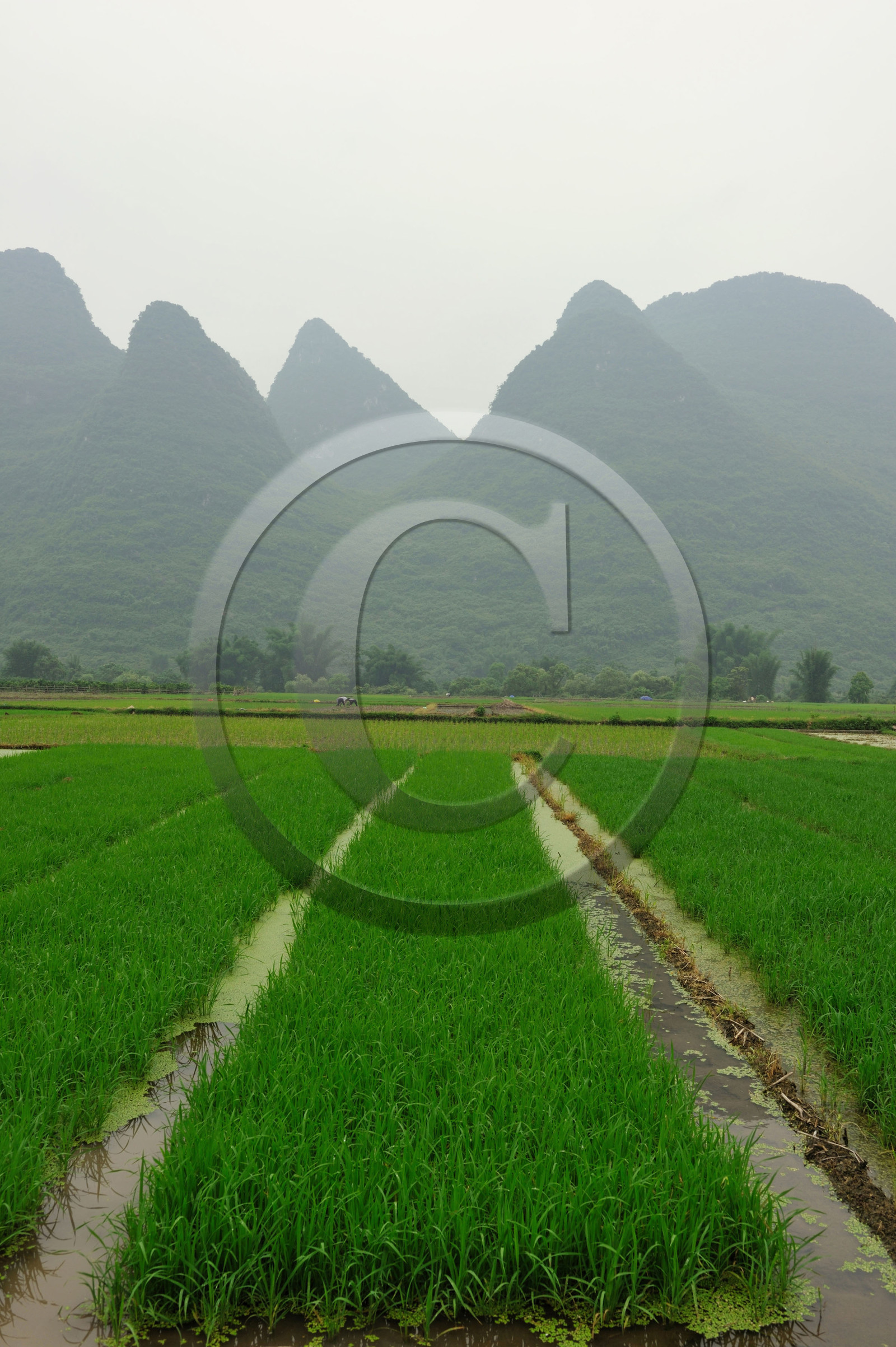 Chine, Guilin