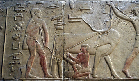 Egypte, Saqqarah