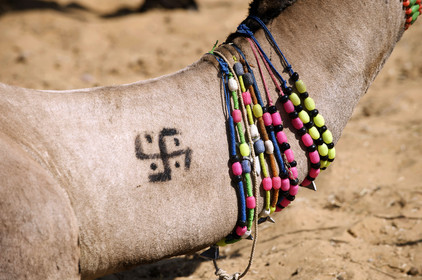 Inde, Pushkar