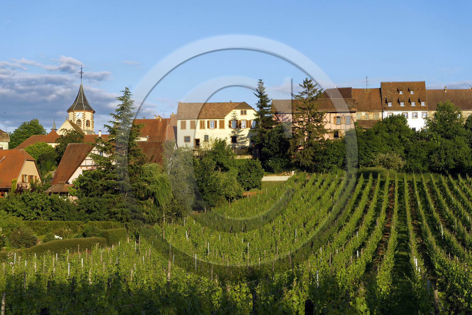 France, Zellenberg