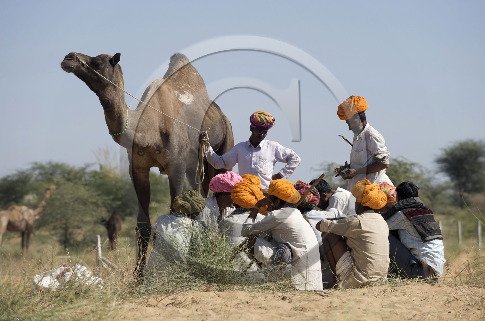 Inde, Pushkar
