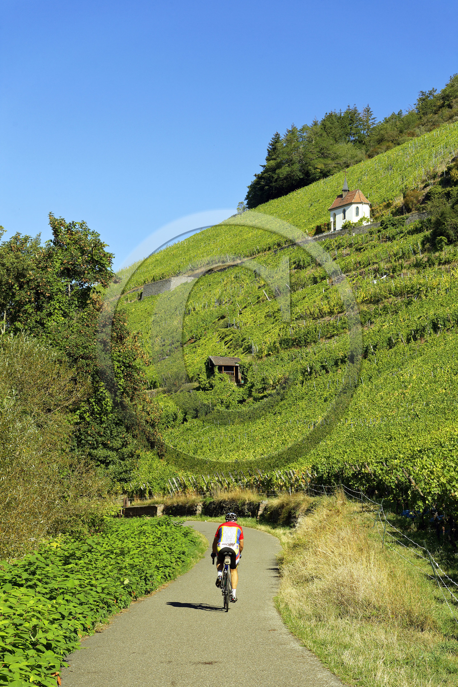 France, Thann