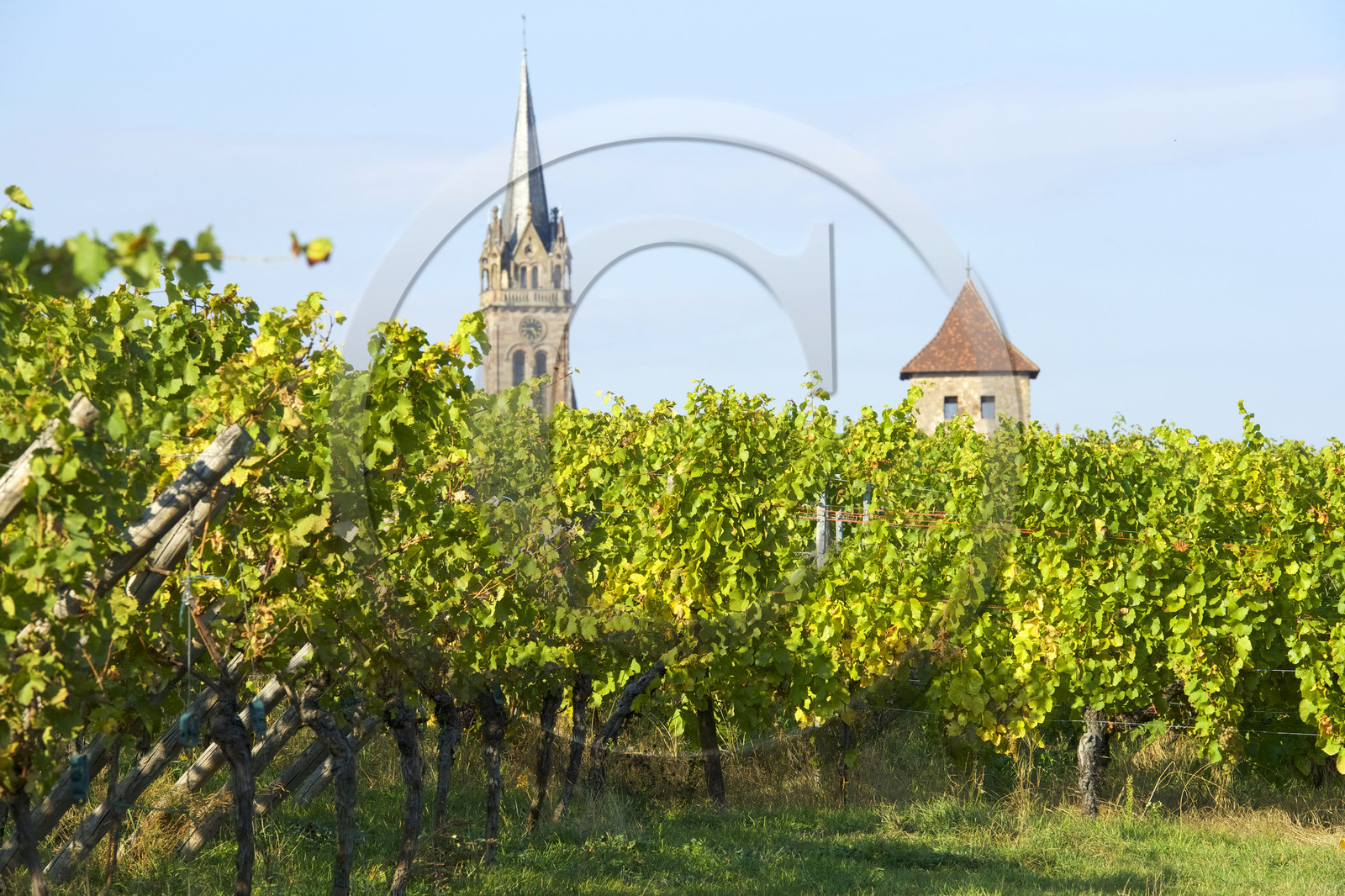 France, Dambach la Ville