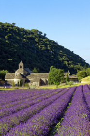 France, Senanque