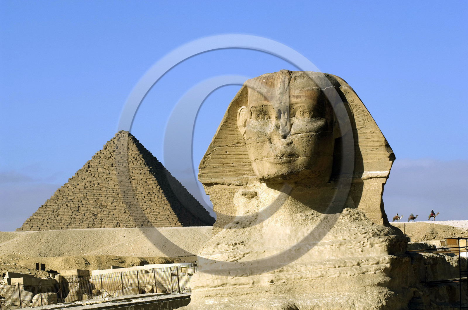 Egypte, Guizeh