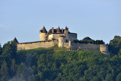 Suisse, Gruyeres