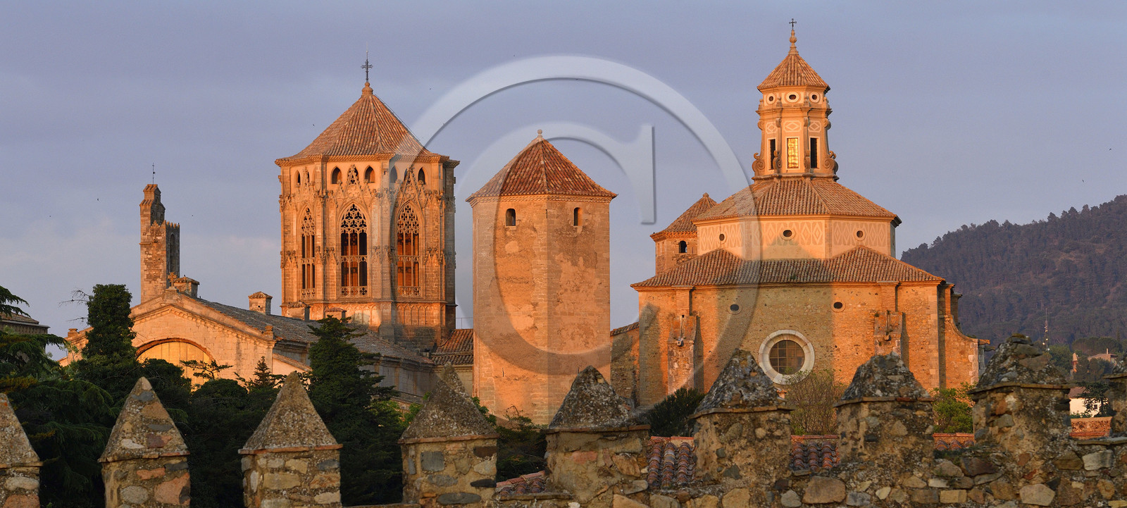 Espagne, Poblet