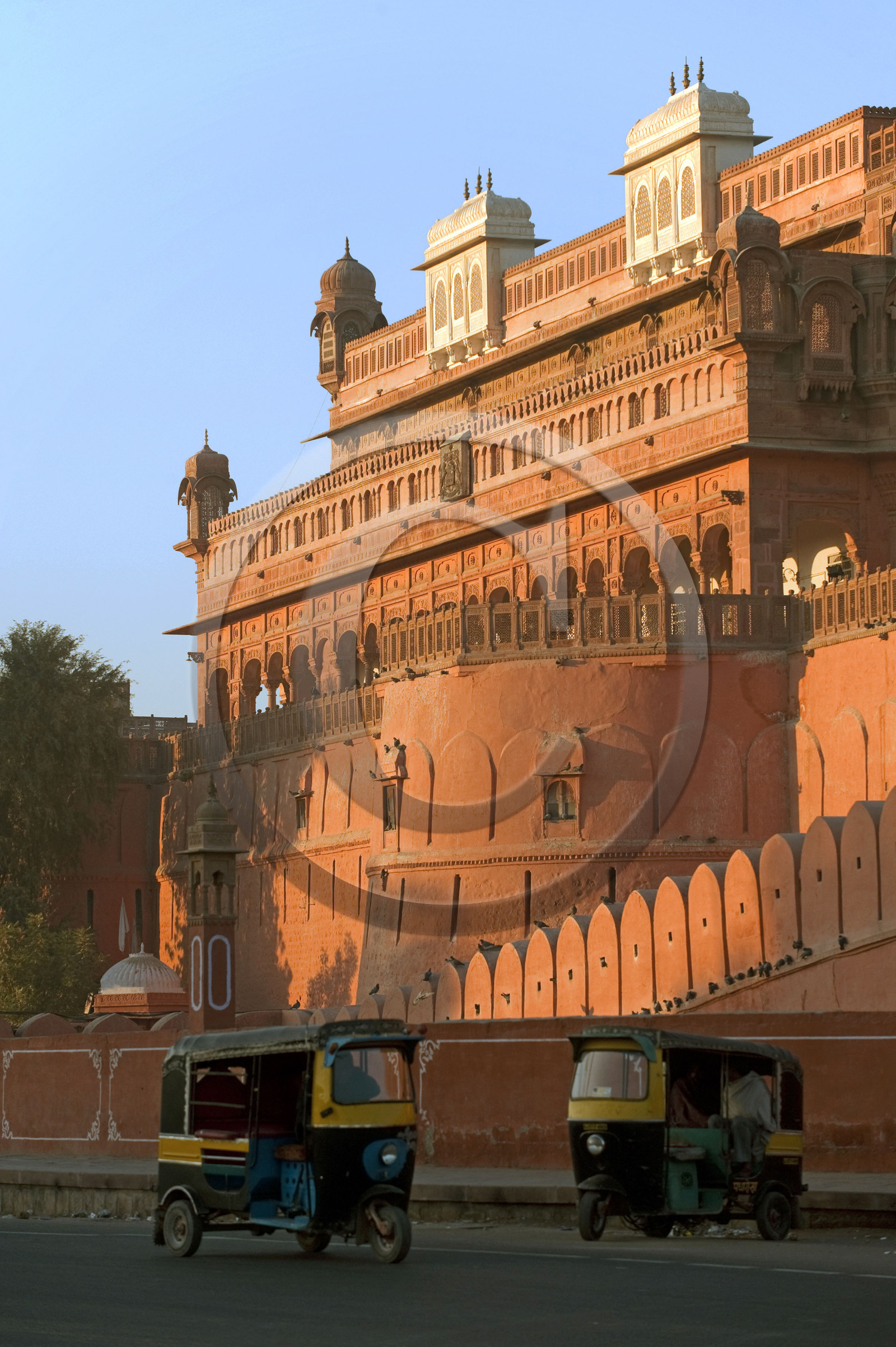 Inde, Rajasthan
