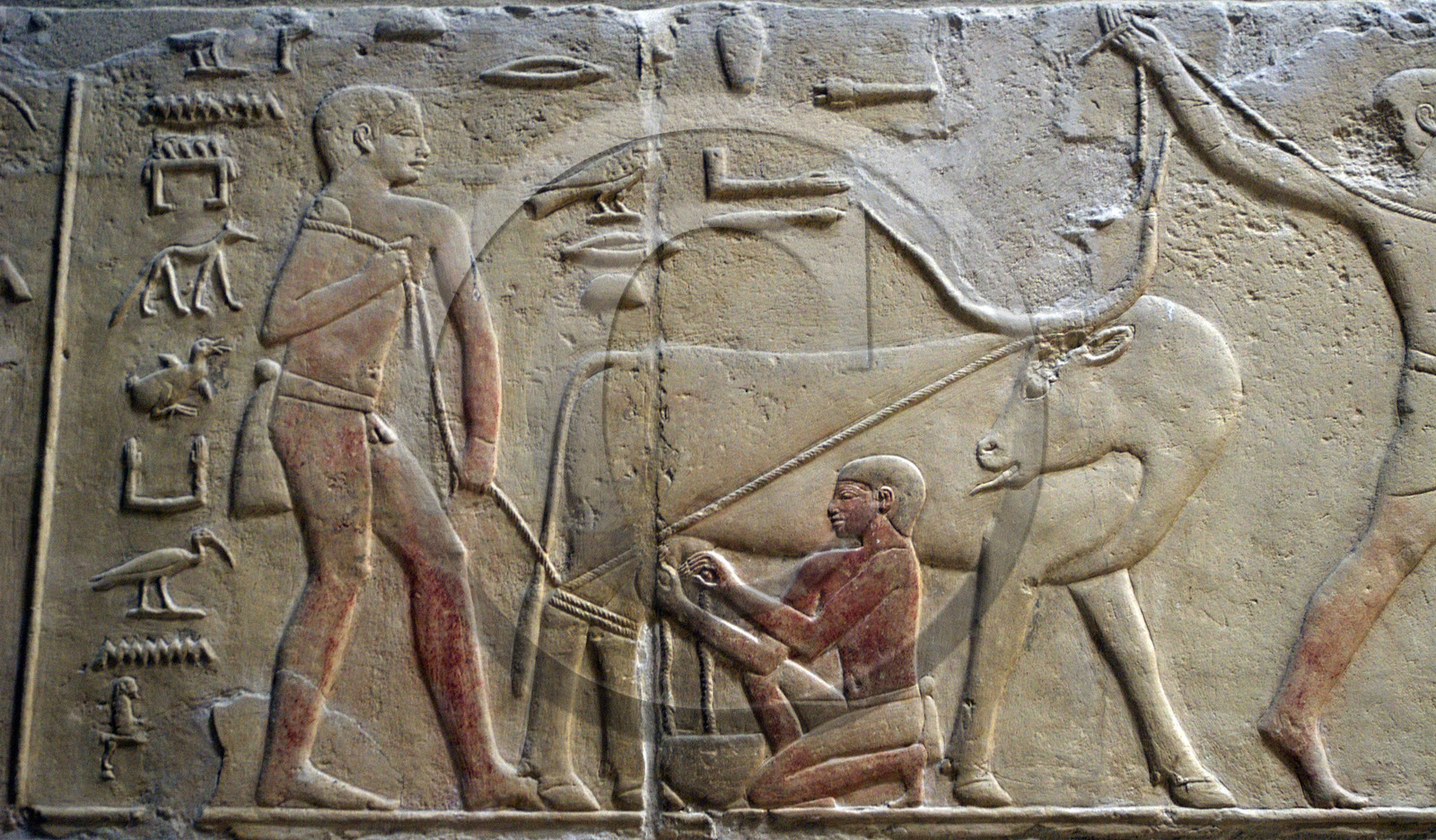 Egypte, Saqqarah