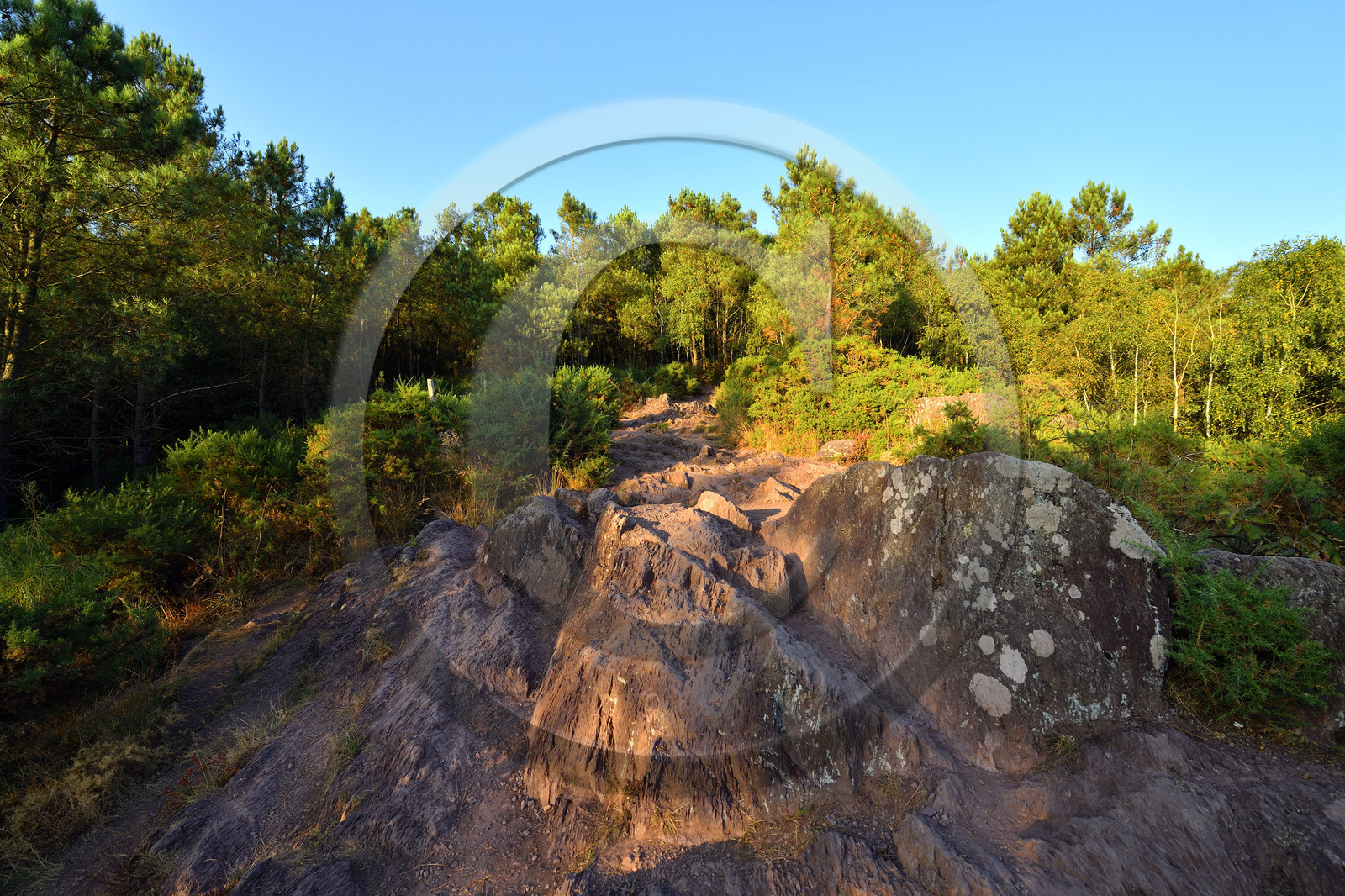 France, Brocéliande