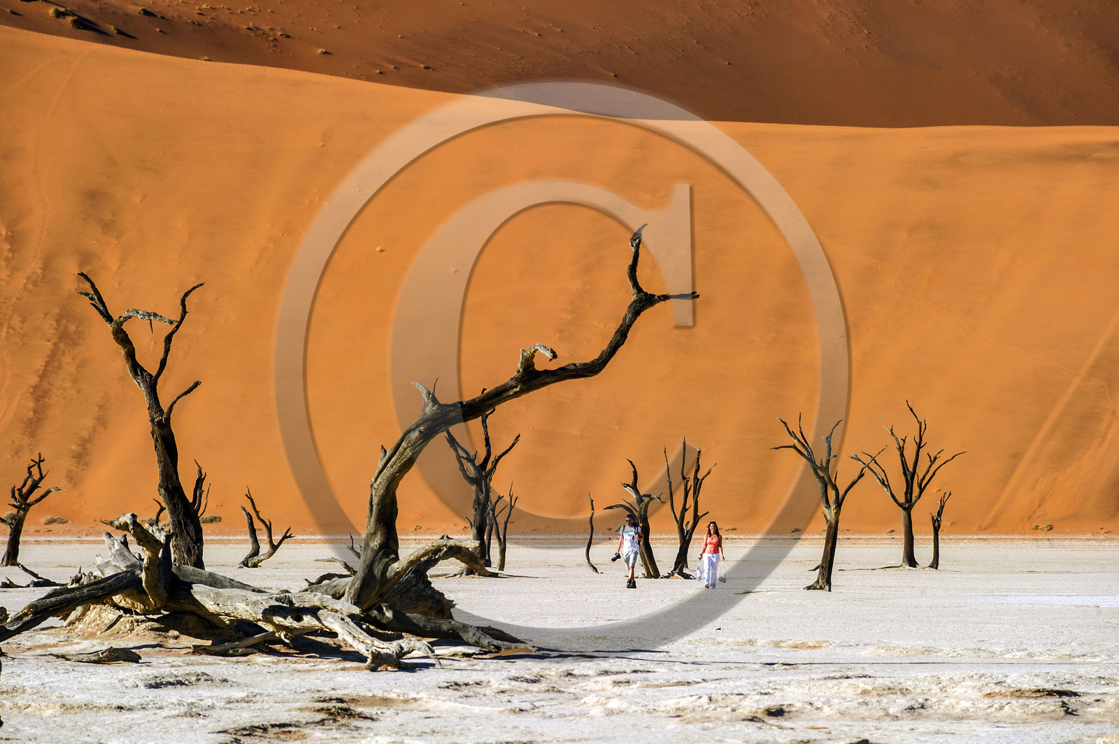 Namibie, Sossusvlei