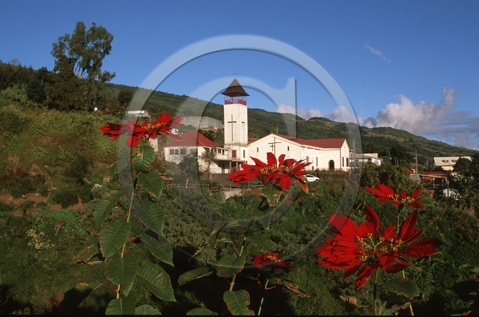 Ile de la Réunion.France