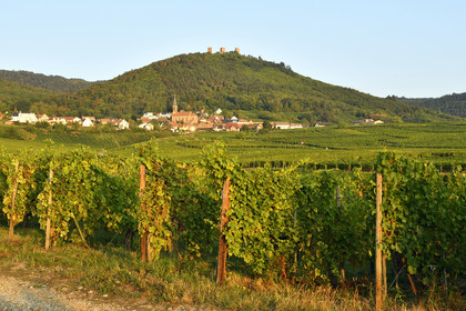 France, Husseren