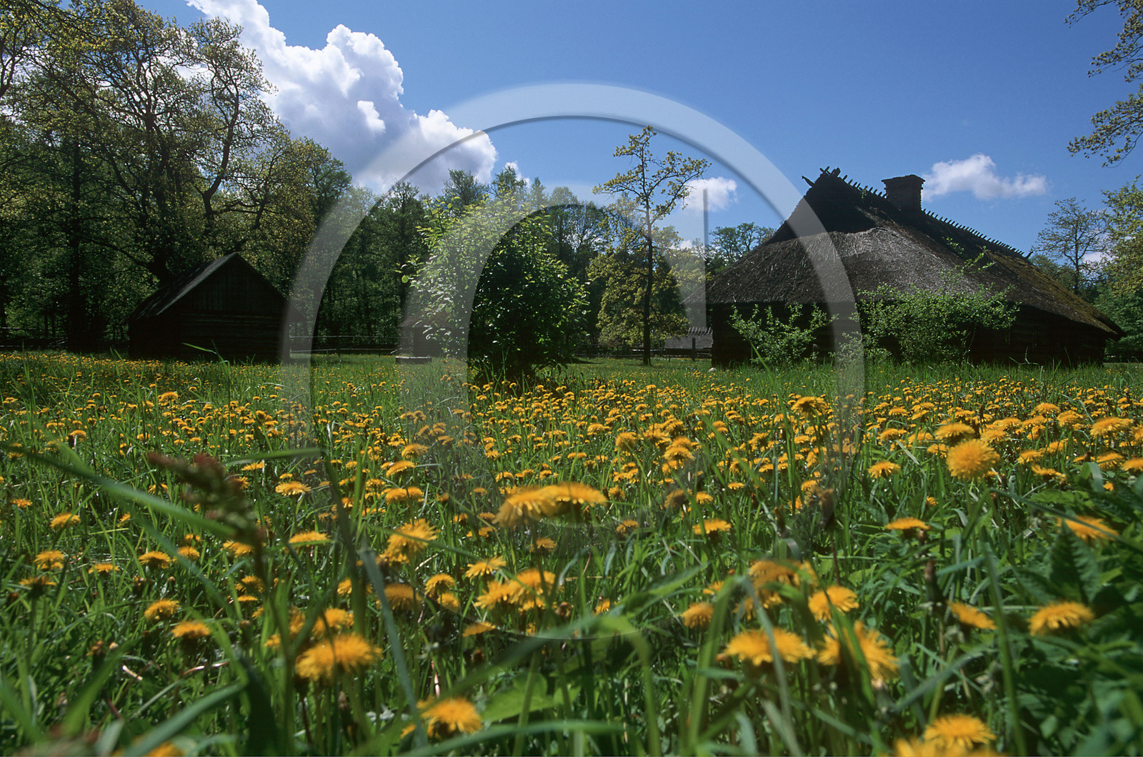 Estonie, Pays Baltes