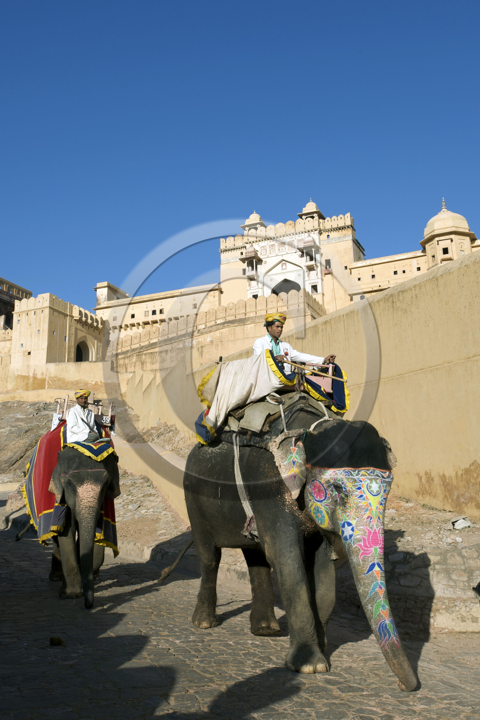 Inde, Jaipur