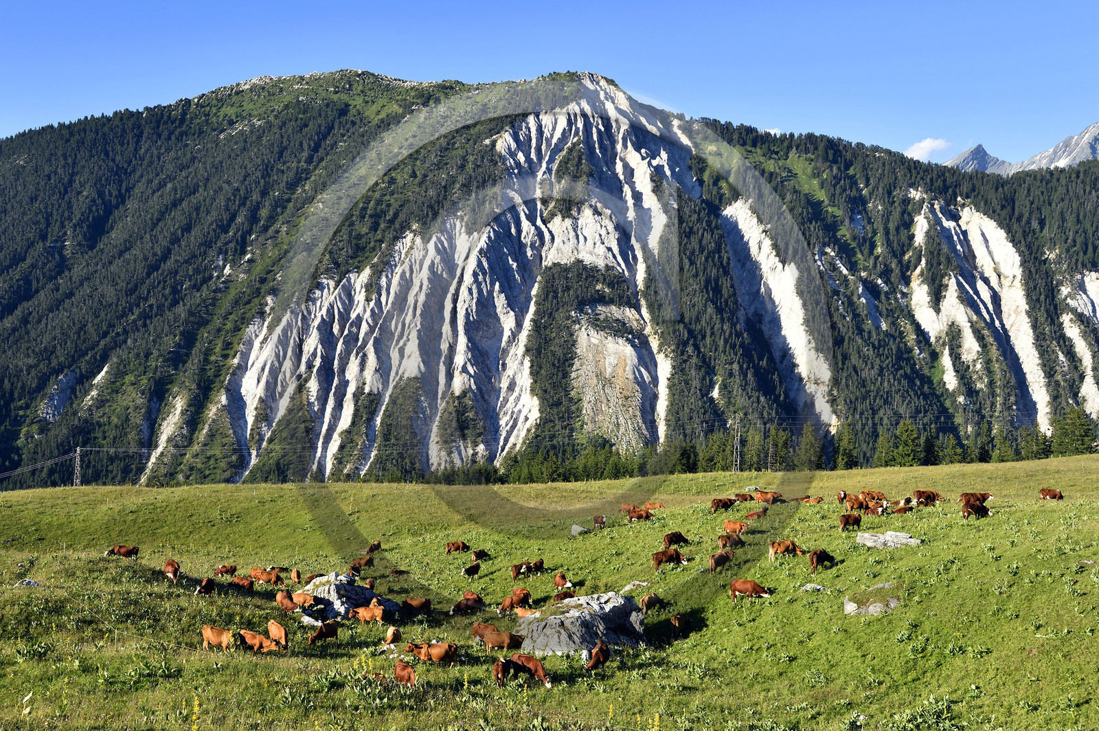 France, Alpes