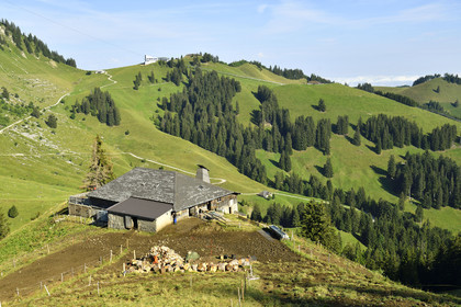 Suisse, Gruyeres