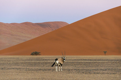 Namibie, Sossusvlei