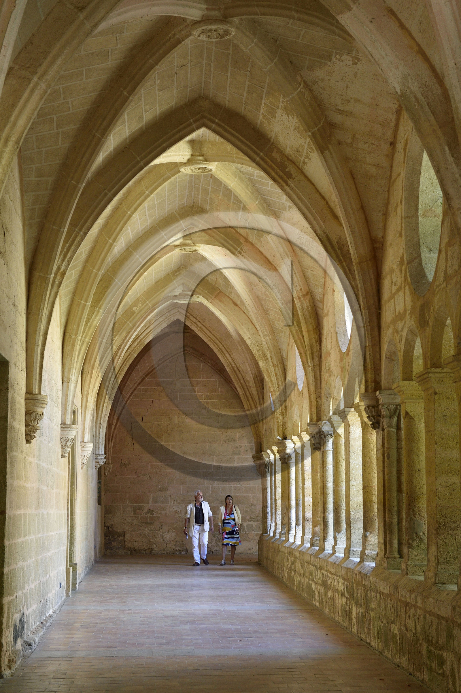 France, Valmagne