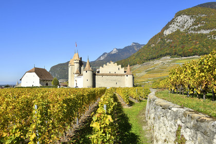 Suisse, Aigle