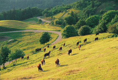 Alsace, France