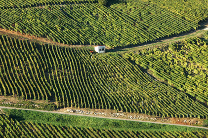 Franche-Comte, France