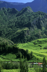 Ile de la Réunion.France