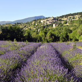 France, Sault