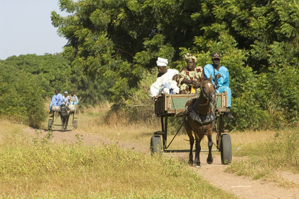 Marché de Gueguenne, Sénégal