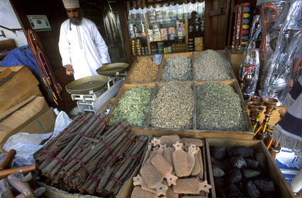 Dubaï. Émirats Arabes Unis