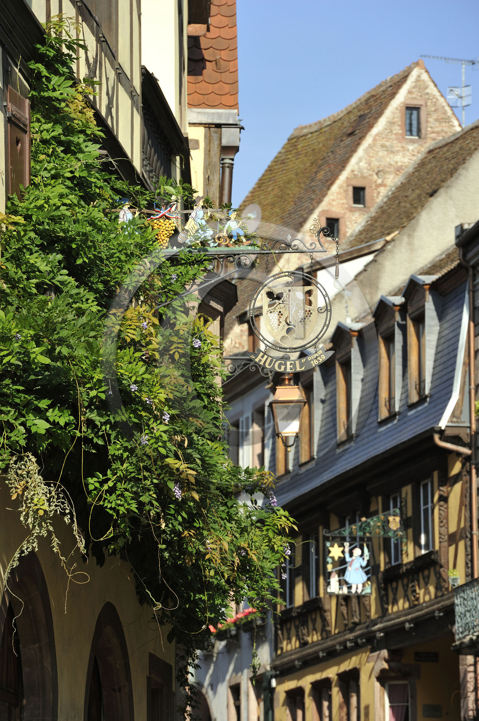 France, Riquewihr