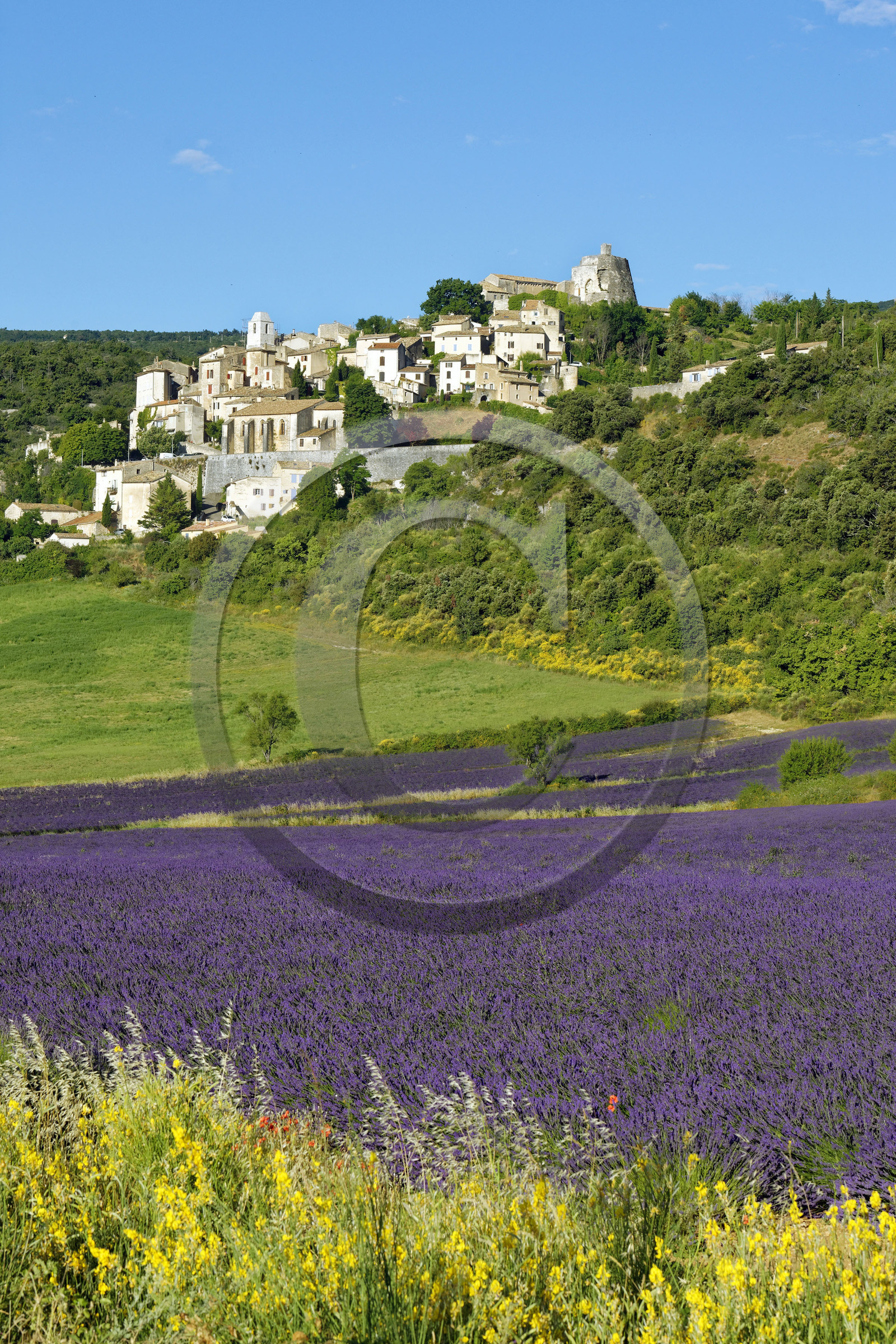 France, Simiane la Rotonde