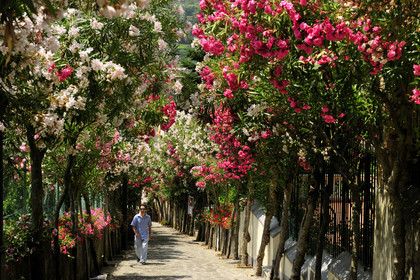 Italie, Amalfitaine