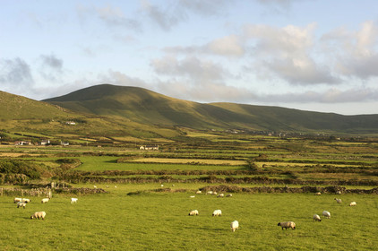 Irlande, Dingle