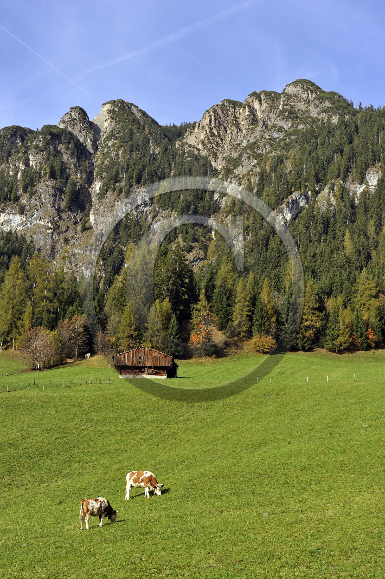 Autriche, Tyrol