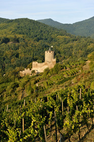 France, Kaysersberg