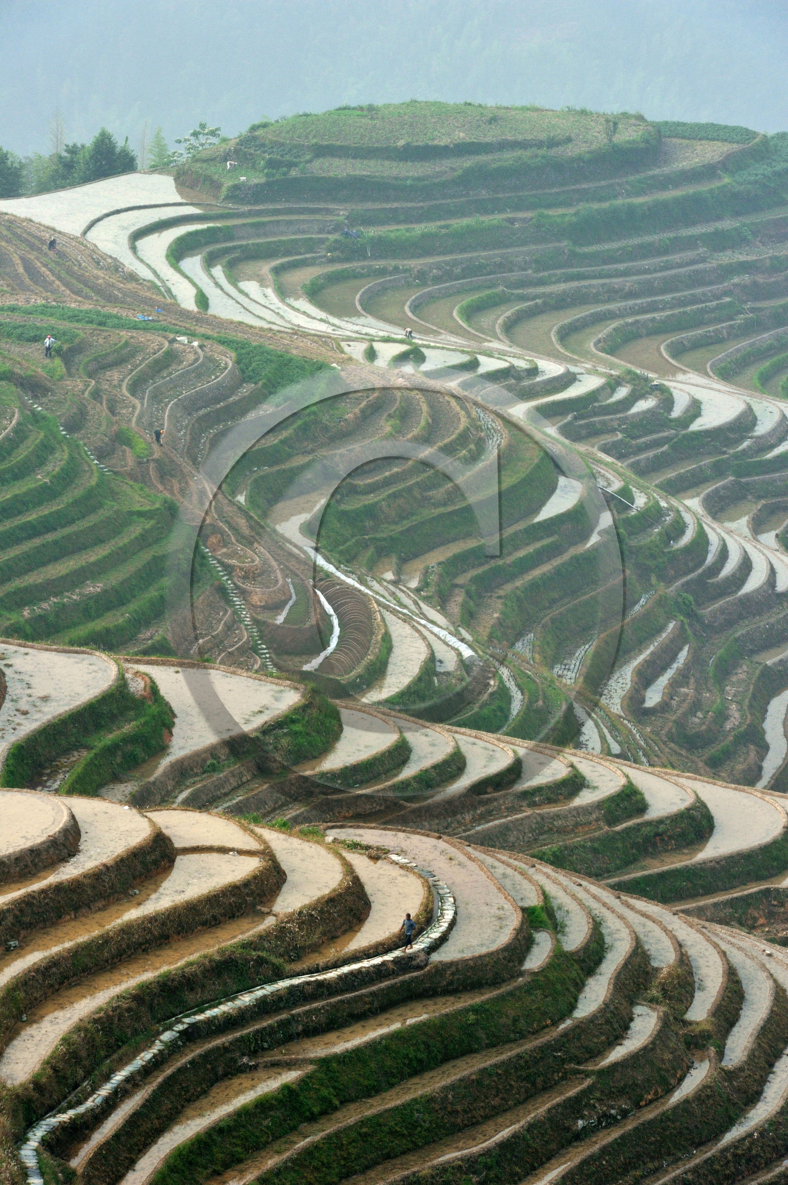 Chine, Longsheng