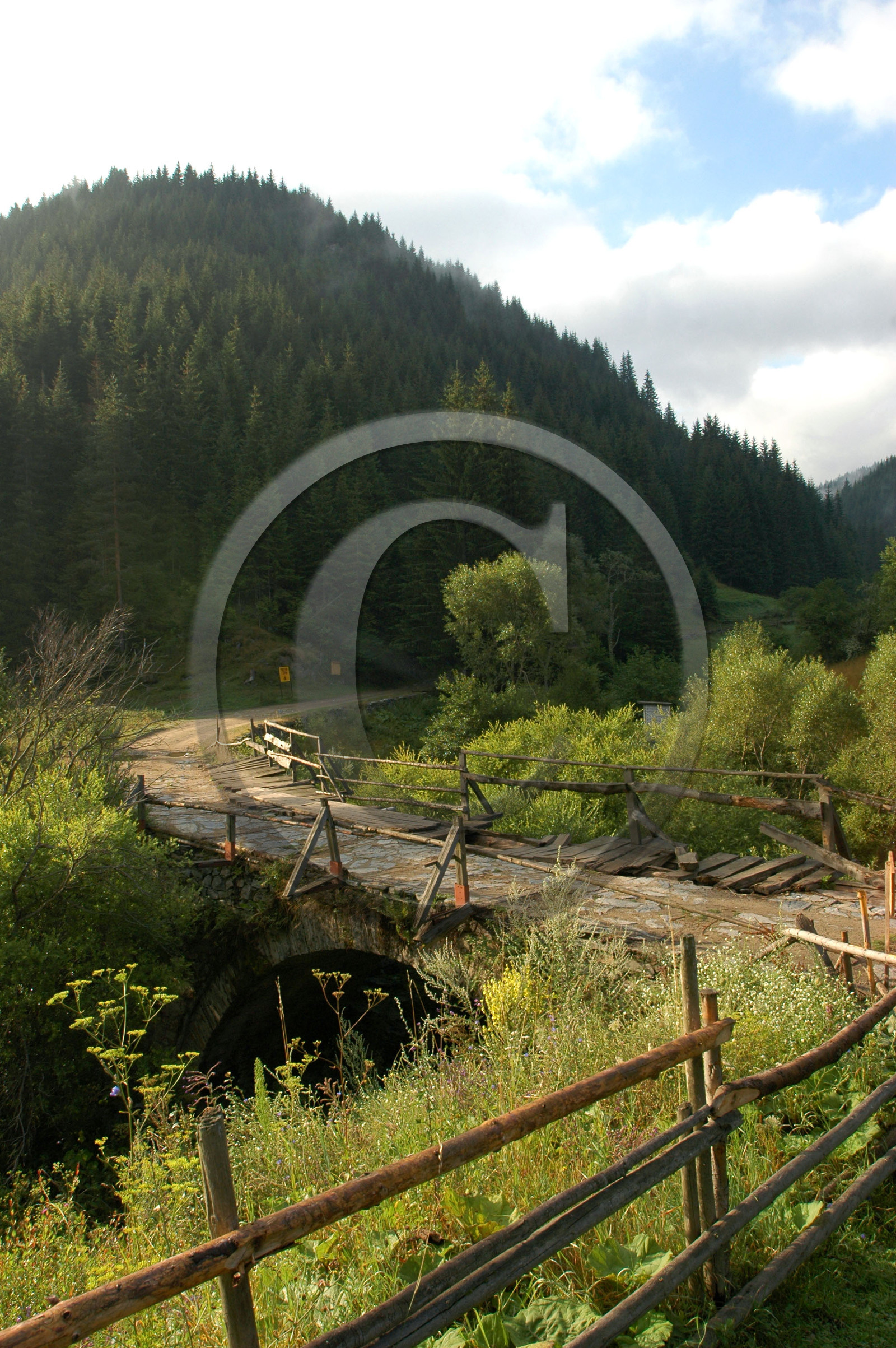 Rhodopes, Bulgarie