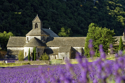 France, Senanque